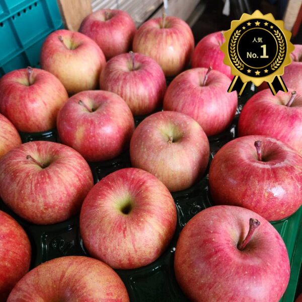 ★完売【家庭用】葉とらずサンふじ‐11月下旬~順次発送‐