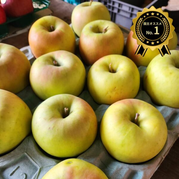 ★完売【家庭用】名月‐11月下旬~順次発送‐