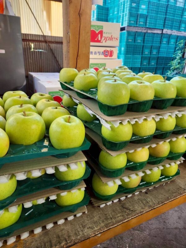 ★予約販売開始【家庭用】黄王（きおう）‐9月上旬～順次発送‐ - 画像 (10)