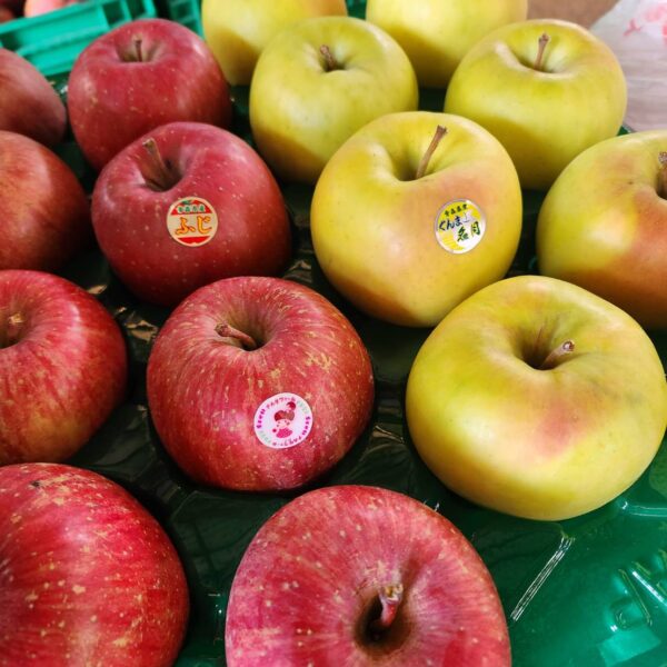 【家庭用ミックス】葉とらずサンふじ&名月‐11月下旬～順次発送‐